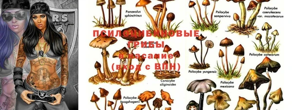 эйфоретик Алексин