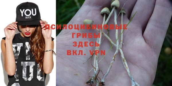 мяу мяу кристалл Алексеевка